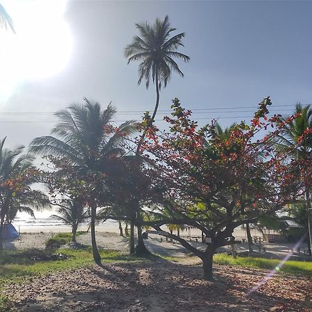 Casa Aroeira Pousada Ilheus Luaran gambar