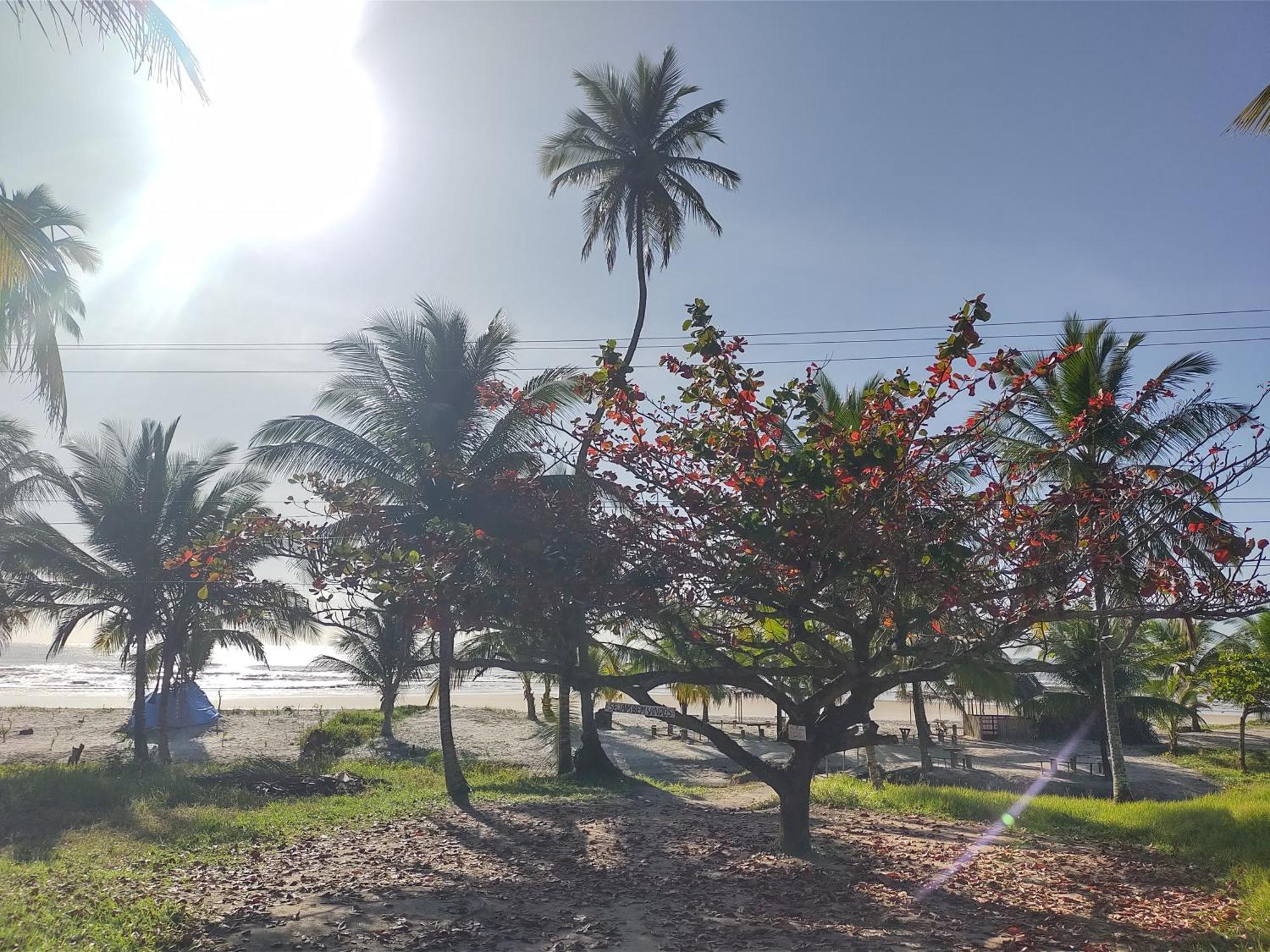 Casa Aroeira Pousada Ilheus Luaran gambar